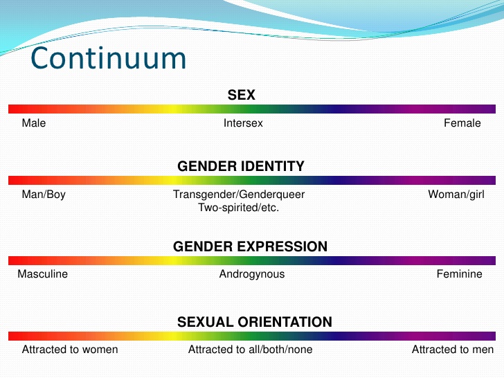 The Gender Spectrum 3935
